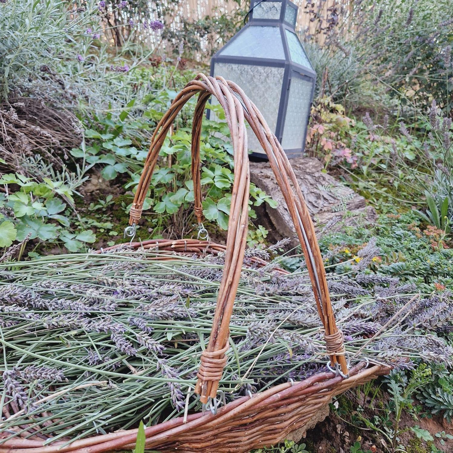 Pencin Villa Follemira Cz - Kitchen - Garden - Bike Storage المظهر الخارجي الصورة